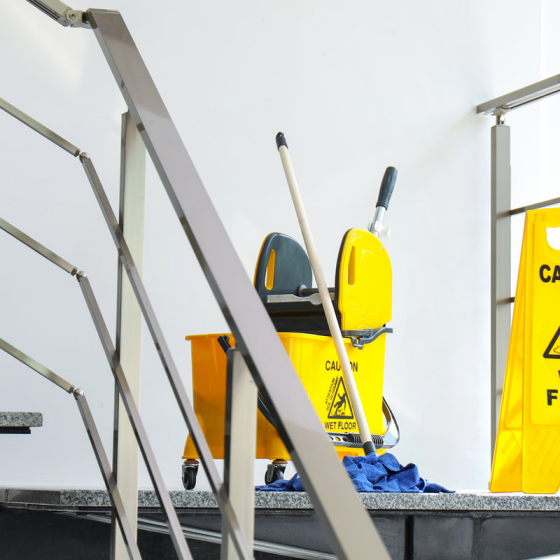What Cleaning Products Are Effective Against Mold?