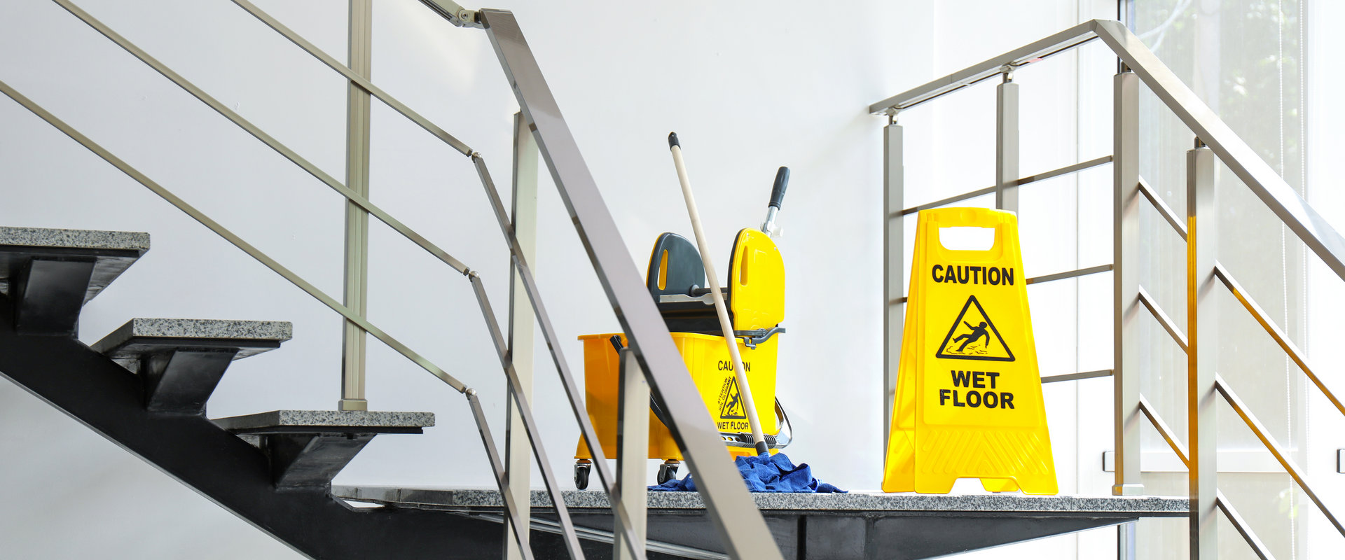 What Cleaning Products Are Effective Against Mold?